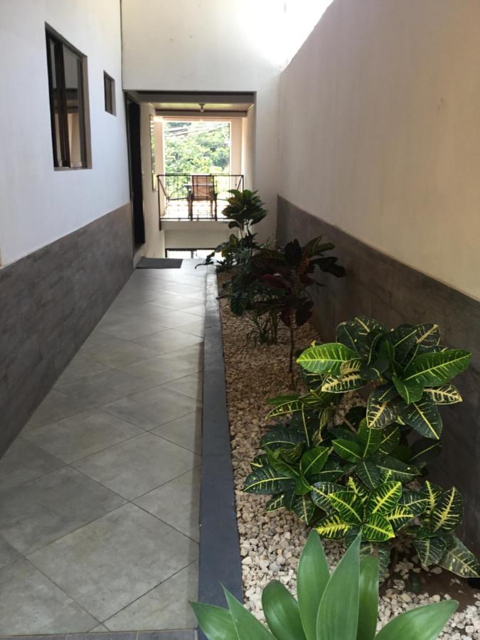 מלון Brand New House Alajuela Near The Airpor מראה חיצוני תמונה