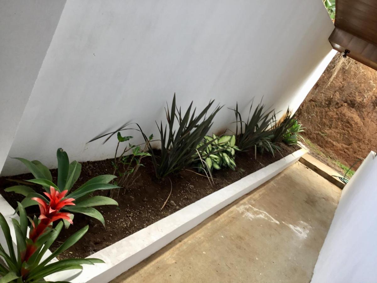 מלון Brand New House Alajuela Near The Airpor מראה חיצוני תמונה